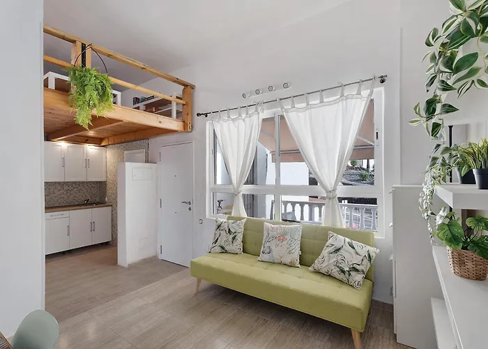 Torviscas Endless Summer אדחה