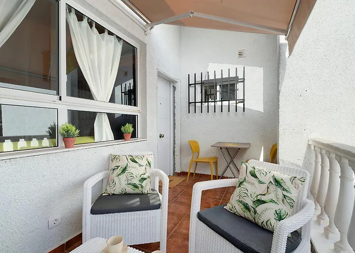 Torviscas Endless Summer *