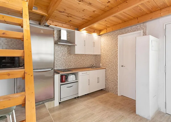 Torviscas Endless Summer